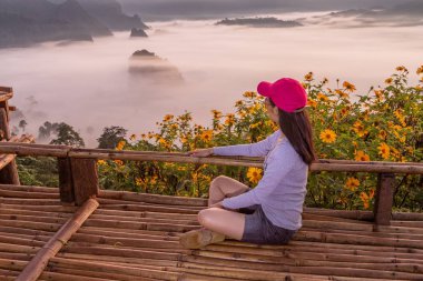 Dağ manzarası ve Phu Langka Milli Parkı güzel Sis, Tayland