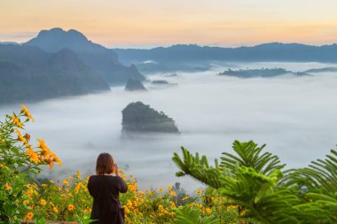 Dağ manzarası ve Phu Langka Milli Parkı güzel Sis, Tayland