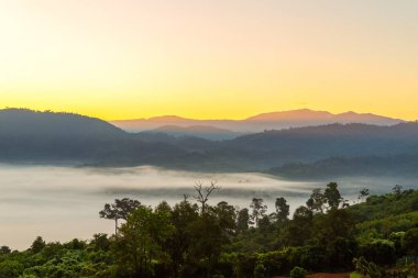 Dağ manzarası ve Phu Langka Milli Parkı güzel Sis, Tayland