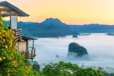 Dağ manzarası ve Phu Langka Milli Parkı güzel Sis, Tayland