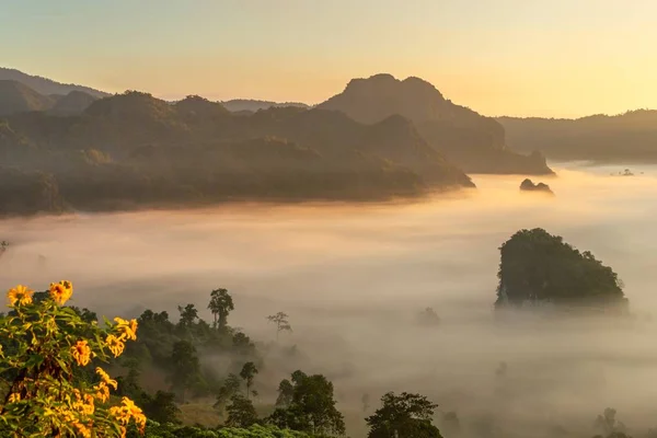 Vue Sur Montagne Belle Brume Parc National Phu Langka Thaïlande — Photo