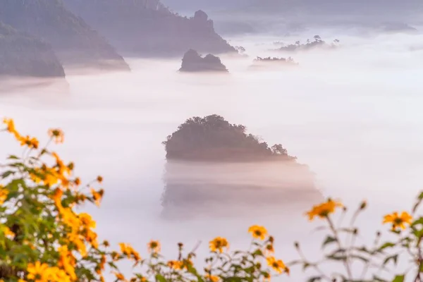 Vue Sur Montagne Belle Brume Parc National Phu Langka Thaïlande — Photo