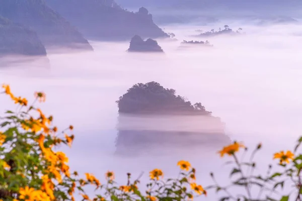 泰国普兰卡国家公园的山景和美丽的雾气 — 图库照片