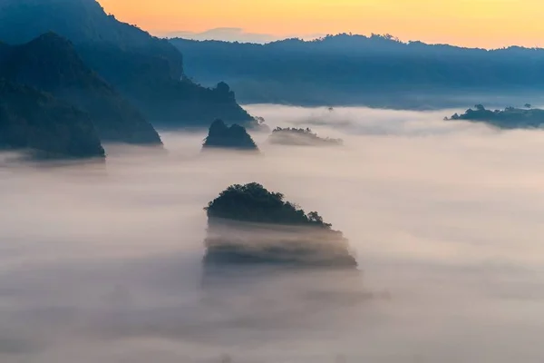 Vistas Montaña Hermosa Niebla Del Parque Nacional Phu Langka Tailandia —  Fotos de Stock