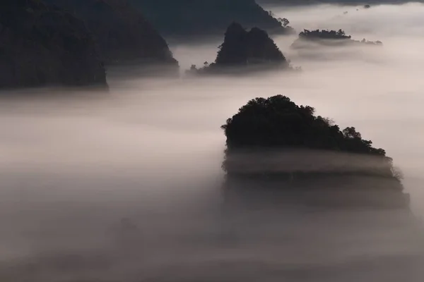 Θέα Στο Βουνό Και Πανέμορφη Ομίχλη Του Εθνικού Πάρκου Phu — Φωτογραφία Αρχείου