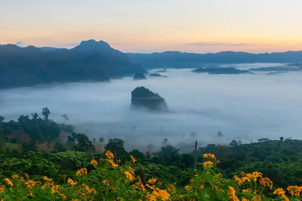 Výhledy Hory Krásná Mlha Národního Parku Phu Langka Thajsko — Stock fotografie
