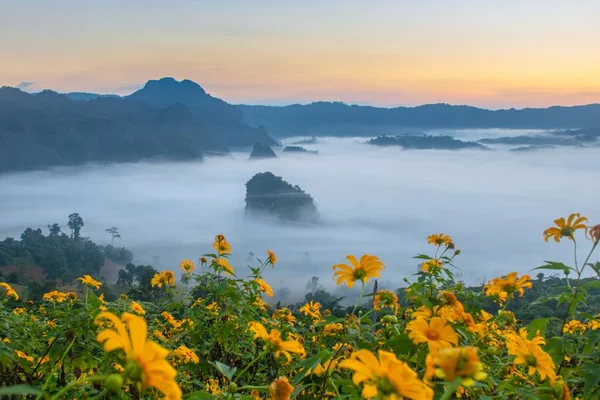 Bergblick Und Schöne Nebelschwaden Des Phu Langka Nationalparks Thailand — Stockfoto