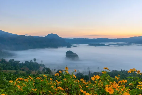 Vue Sur Montagne Belle Brume Parc National Phu Langka Thaïlande — Photo