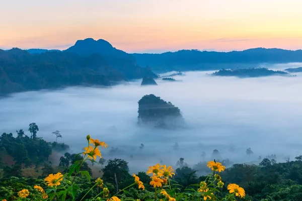 Θέα Στο Βουνό Και Πανέμορφη Ομίχλη Του Εθνικού Πάρκου Phu — Φωτογραφία Αρχείου