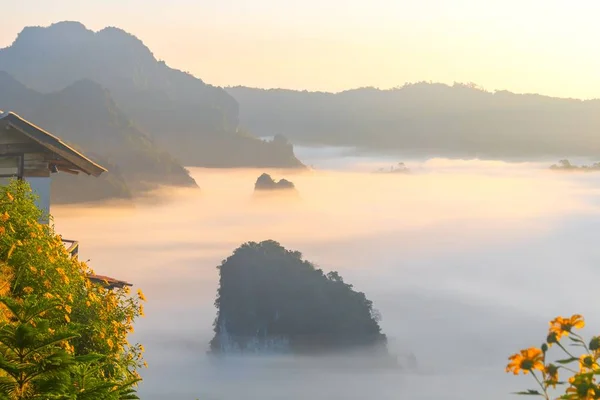 Vue Sur Montagne Belle Brume Parc National Phu Langka Thaïlande — Photo