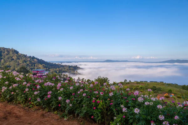 Όμορφα Λουλούδια Και Ομίχλη Στο Καο Ταϊλάνδη — Φωτογραφία Αρχείου