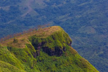 Phu Phaeng Ma'da sabah sisi, Phu Tubberk, Tayland