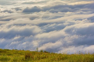 Phu Tubberk, Tayland sabah çim çiçeklerve güneş ışığı