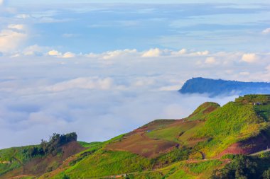Phu Tubberk'te güzel gün doğumu ve sis, Phetchabun Eyaleti, Tayland.