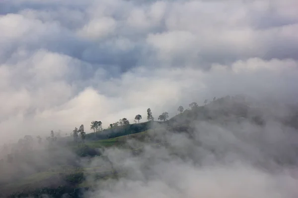 Phu Tubberk'te güzel gün doğumu ve sis, Phetchabun Eyaleti, Tayland.