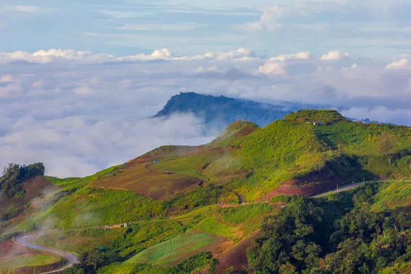 Όμορφη Ανατολή Και Ομίχλη Στο Phu Tbuban Επαρχία Φατσαμπούν Ταϊλάνδη — Φωτογραφία Αρχείου