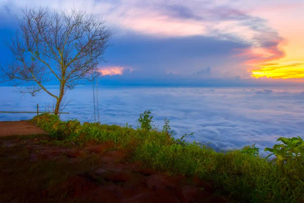 Phu Tubberk'te güzel gün doğumu ve sis, Phetchabun Eyaleti, Tayland.