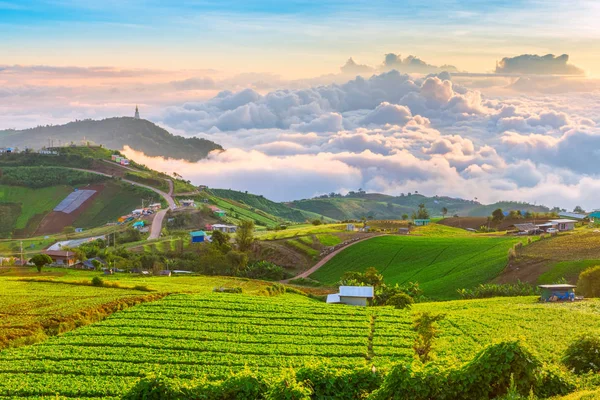 Phu Tubberk'te güzel gün doğumu ve sis, Phetchabun Eyaleti, Tayland.