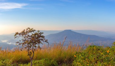Güneşin doğuşunun panoramik görüntüsü. Dağ, Phu Luang Bölgesi, Tayland