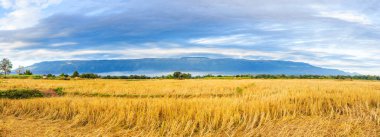 Panoramik manzara ve temiz gökyüzü, Phu Luang Bölgesi, Tayland