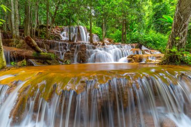 Pa Wai Şelalesi, Tropikal Yağmur Ormanı 'ndaki güzel şelale, Tak Eyaleti, Tayland
