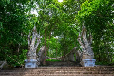 Wat Analayo Thipphayaram veya Analayo Tapınağı, Tayland 'ın Phayao eyaleti Doi Busarakam' dadır.