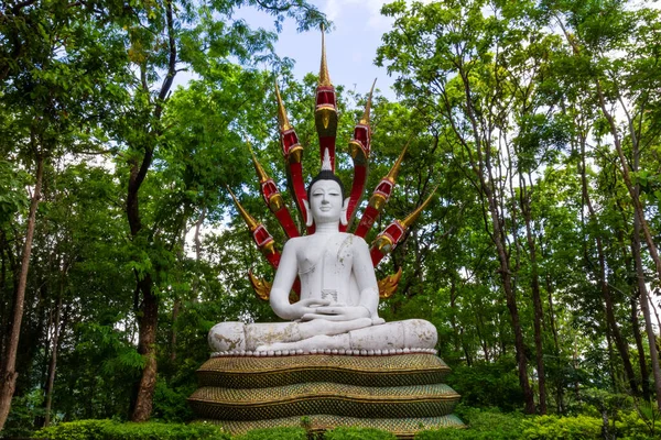 Wat Analayo Thipphayaram Templo Analayo Está Doi Busarakam Província Phayao — Fotografia de Stock