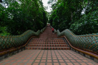 Wat Phrathat Doi Suthep Temple ya da Wat Phra that Doi Suthep Ratchaworawihan, Golden pagoda, Dağda, Chiang Mai, Tayland 'da Ocak 09 2019
