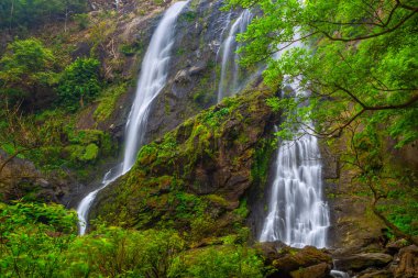 Khlong Lan Şelalesi, Khlong Lan Ulusal Parkı 'nın derin ormanlarındaki güzel şelale, Kamphaeng Phet, Tayland