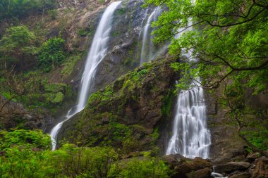 Khlong Lan Şelalesi, Khlong Lan Ulusal Parkı 'nın derin ormanlarındaki güzel şelale, Kamphaeng Phet, Tayland