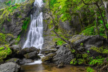 Khlong Lan Şelalesi, Khlong Lan Ulusal Parkı 'nın derin ormanlarındaki güzel şelale, Kamphaeng Phet, Tayland