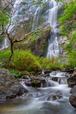Khlong Lan Şelalesi, Khlong Lan Ulusal Parkı 'nın derin ormanlarındaki güzel şelale, Kamphaeng Phet, Tayland