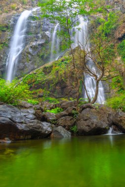 Khlong Lan Şelalesi, Khlong Lan Ulusal Parkı 'nın derin ormanlarındaki güzel şelale, Kamphaeng Phet, Tayland