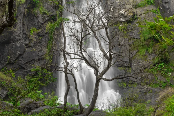 Khlong Lan Cascade Belle Cascade Dans Forêt Profonde Parc National — Photo