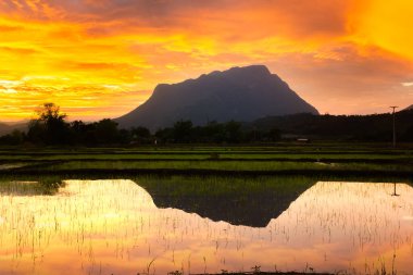 Doi Luang Chiang Dao güzel dağ, kireçtaşı dağları, Tayland 'ın ikinci en yüksek dağı, Chiang Mai Tayland,
