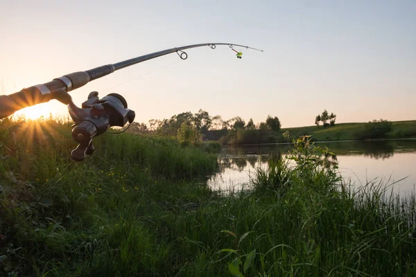 Canna Pesca Sul Lago Piegato Sotto Peso Dei Pesci Tramonto — Foto Stock