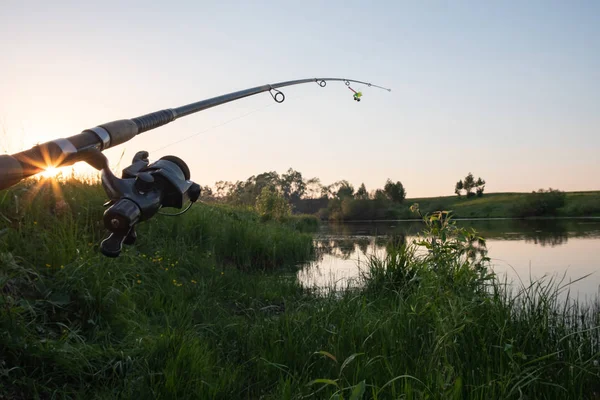 Canna Pesca Sul Lago Piegato Sotto Peso Dei Pesci Tramonto — Foto Stock