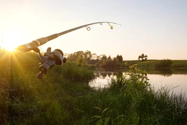 Fiskespö Sjön Böjd Fiskens Vikt Vid Solnedgången Fiskespö Solnedgång Strålar Stockbild