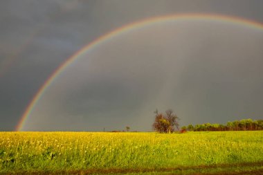 alanında yağmur dan sonra yaz aylarında çift gökkuşağı. Yağmurdan sonra doğa. çift Gökkuşağı