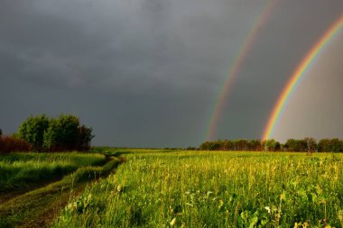 alanında yağmur dan sonra yaz aylarında çift gökkuşağı. Yağmurdan sonra doğa. çift Gökkuşağı