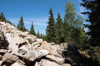 Dağın tepesinden milli parka bak. Fotoğraf duvar kağıdı