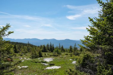 Dağın tepesinden milli parka bak. Fotoğraf duvar kağıdı