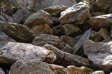 Krumnik ve iğne yapraklı ağaçlardan bir taştan dağa tırmanmak. Duvar resmi