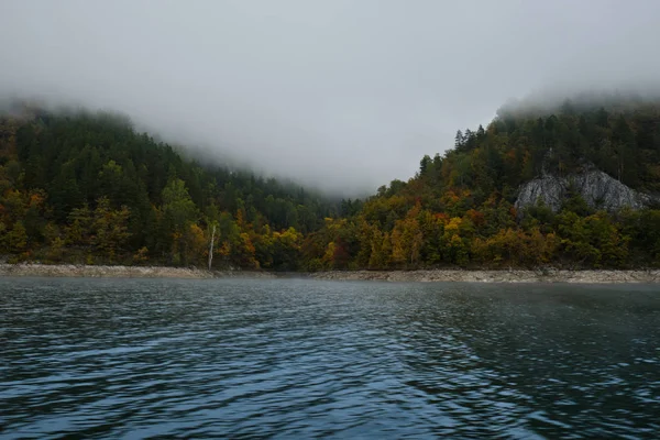 Höst Skogen Dimman Nära Stranden Sjön Altai Altai Höst Royaltyfria Stockbilder