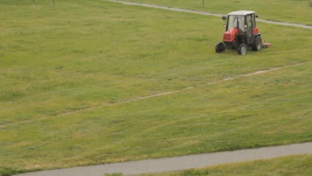 Gammal traktor klipper gräsmattan, den övergripande planen — Stockvideo