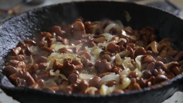 Champiñones chanterelle freír en una sartén con mantequilla y cebollas, primer plano — Vídeos de Stock