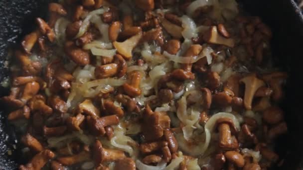 Mushrooms chanterelle fry in a skillet with butter and onions, close-up — Stock Video