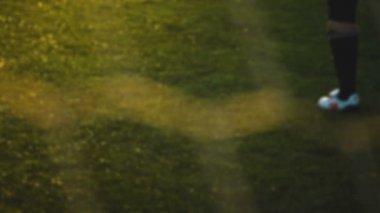 Kaleci futbol net, bulanık, Futbol Şampiyonası standları