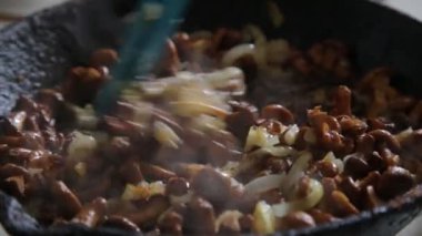 Mantar Cantharellus cibarius fry bir tavada tereyağı ve soğan, yakın çekim