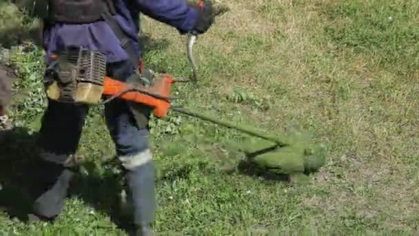 En man som klipper gräs gräsklippare — Stockvideo